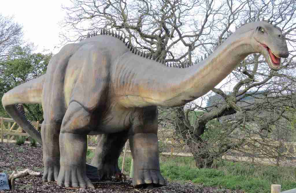 Apatosaurus, displayed in the Pangea exhibit at Yorkshire Wildlife Park.